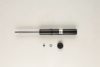 BILSTEIN 19-171616 Shock Absorber